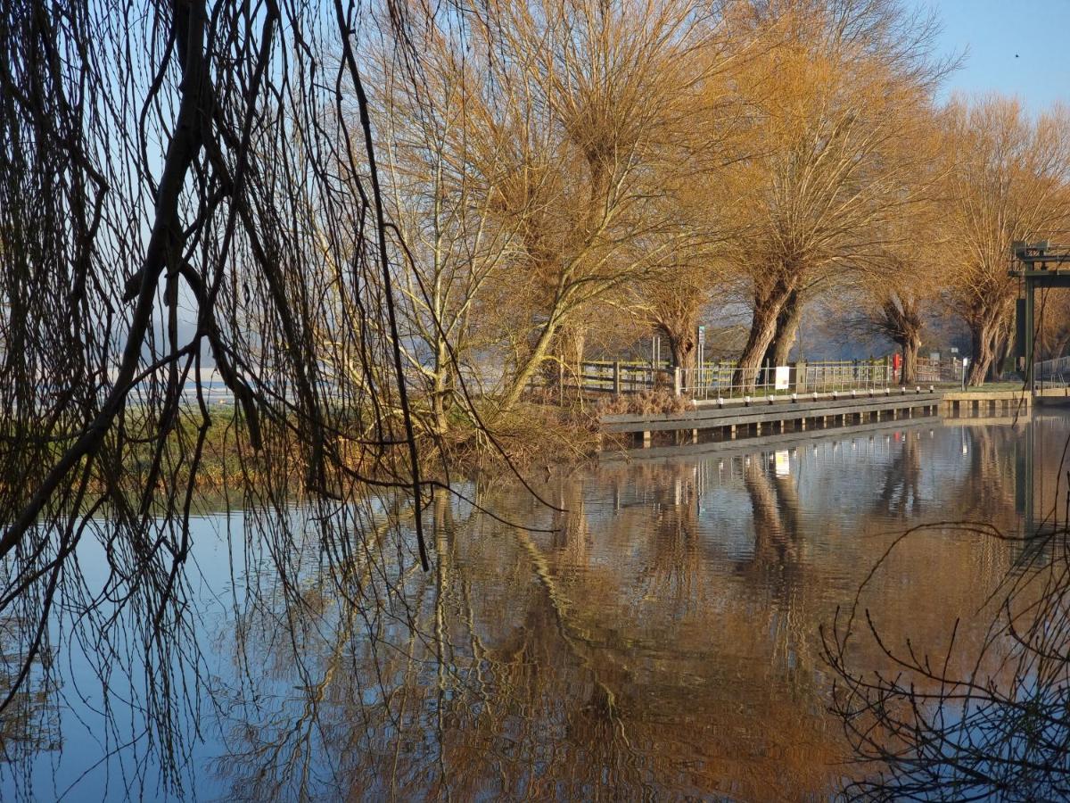 West Farm Cottage Godmanchester ภายนอก รูปภาพ