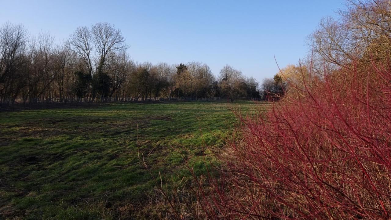 West Farm Cottage Godmanchester ภายนอก รูปภาพ