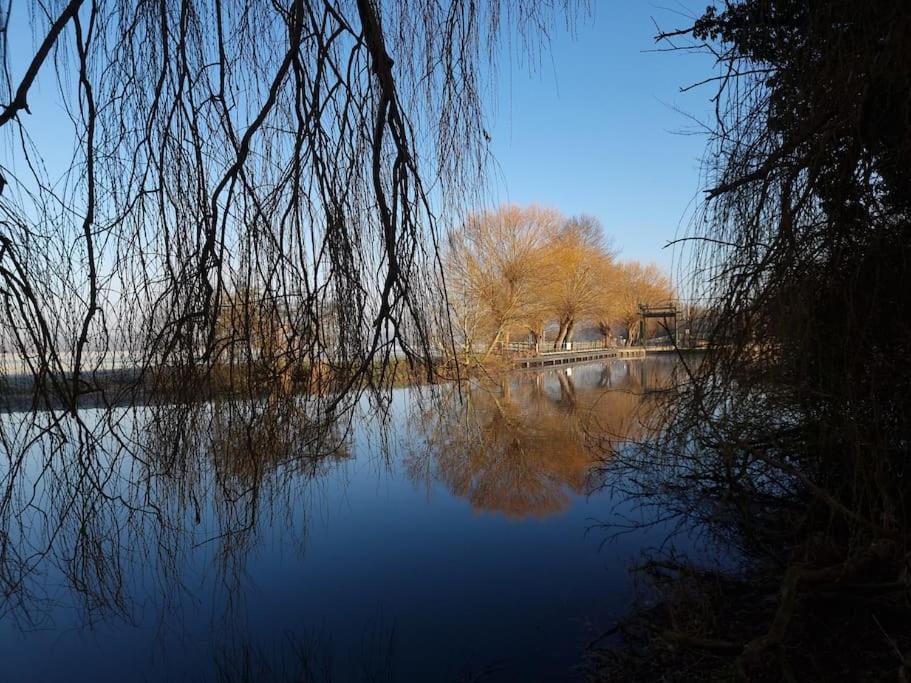 West Farm Cottage Godmanchester ภายนอก รูปภาพ